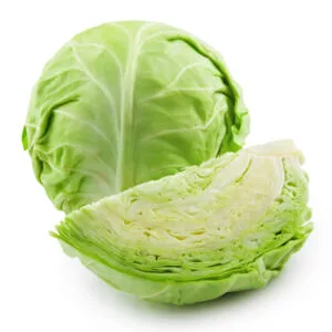 Cabbage