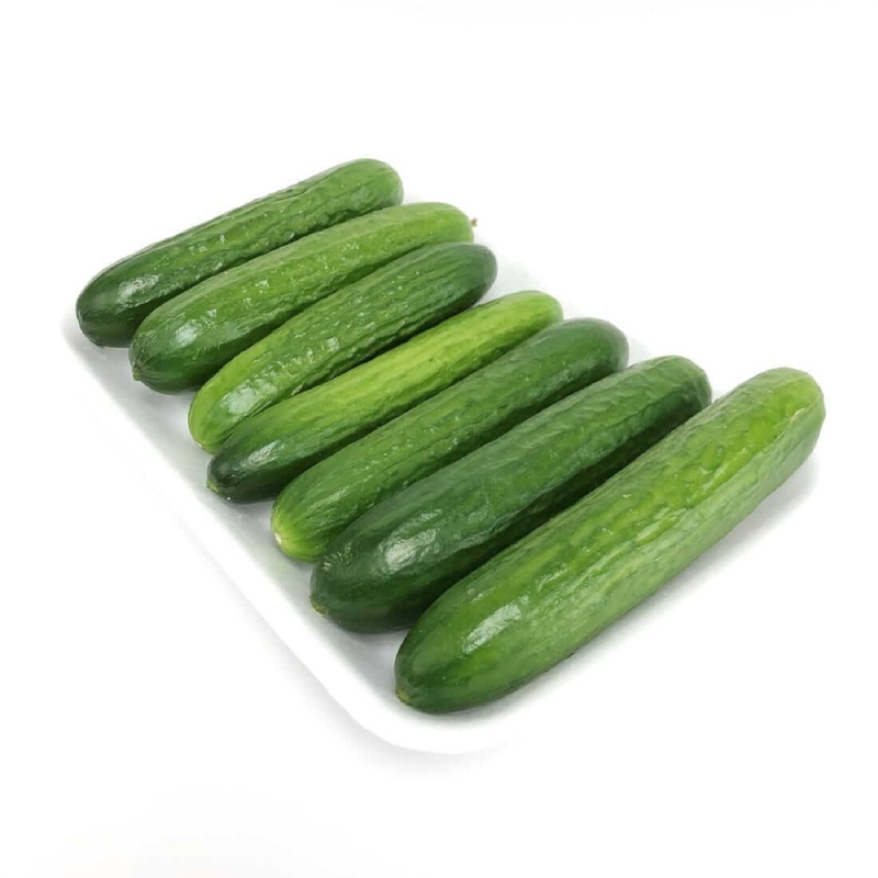 Cucumber