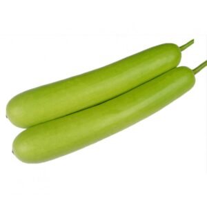 Bottle Gourd (लोकी)