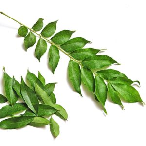 Curry-Leaves