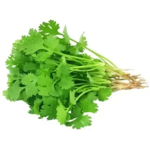 fresh-coriander-leaves