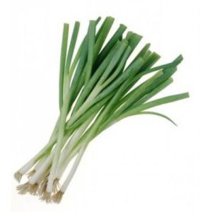 spring-onion