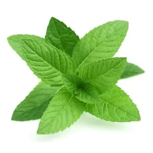 mint-leaves