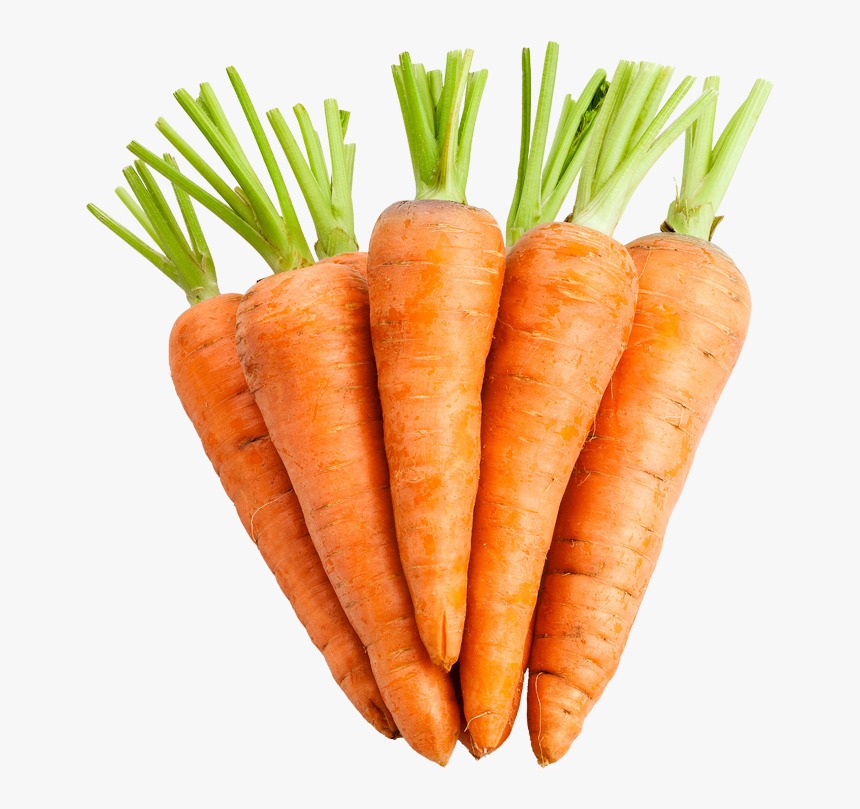 Organic Carrot - Fresh and Healthy